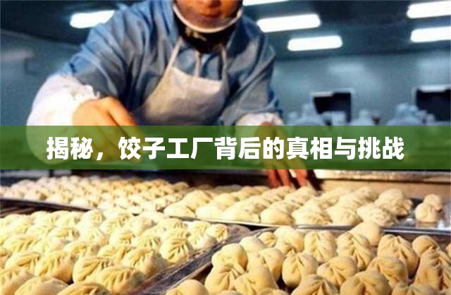 揭秘，餃子工廠背后的真相與挑戰(zhàn)