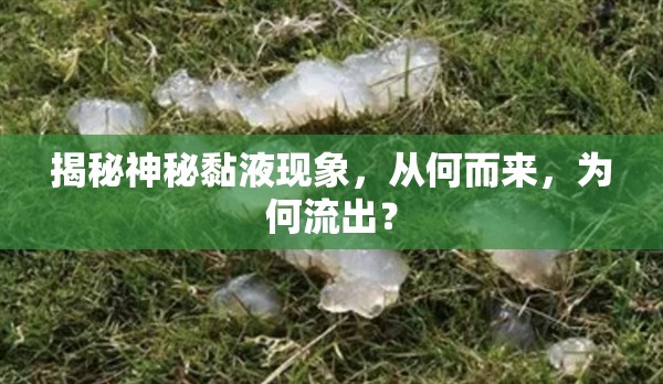 揭秘神秘黏液現(xiàn)象，從何而來，為何流出？