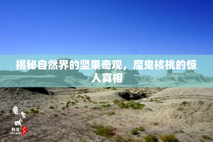 揭秘自然界的堅果奇觀，魔鬼核桃的驚人真相