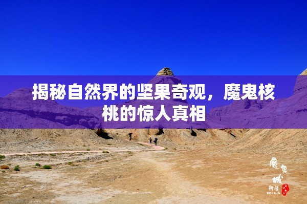 揭秘自然界的堅果奇觀，魔鬼核桃的驚人真相