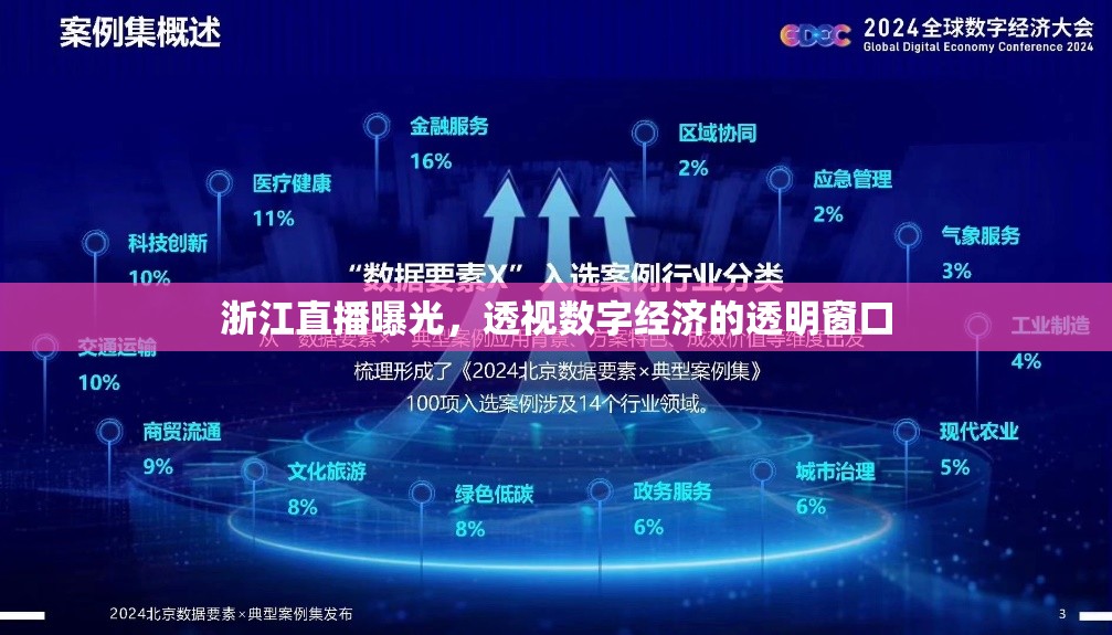 浙江直播曝光，透視數(shù)字經(jīng)濟的透明窗口