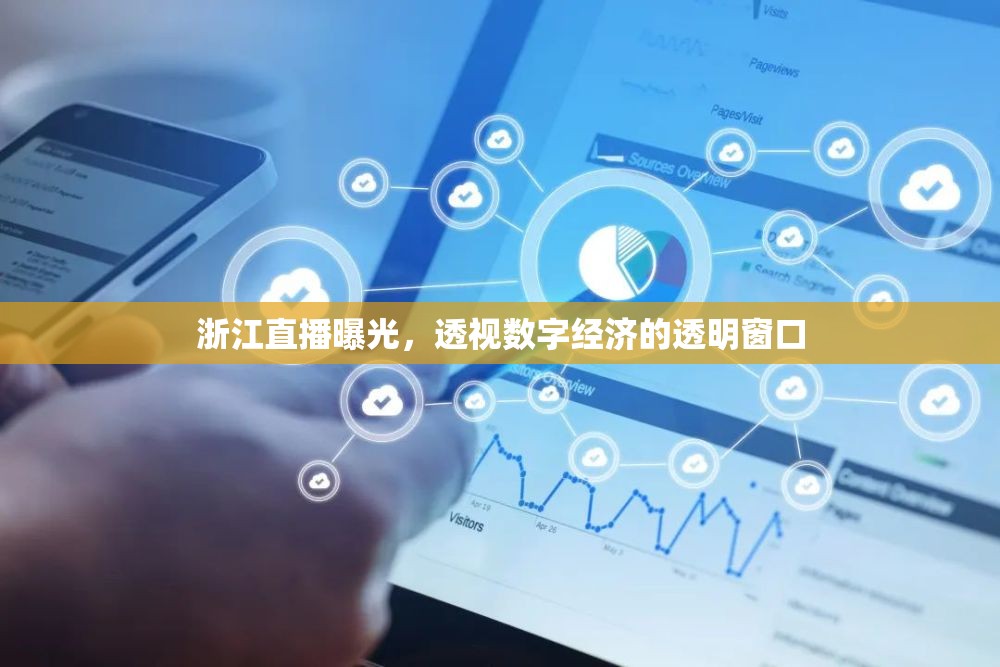 浙江直播曝光，透視數(shù)字經(jīng)濟的透明窗口