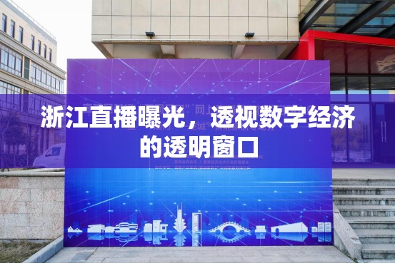 浙江直播曝光，透視數(shù)字經(jīng)濟的透明窗口
