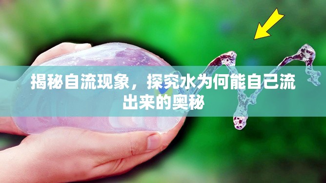 揭秘自流現(xiàn)象，探究水為何能自己流出來的奧秘