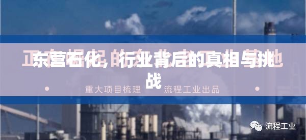東營石化，行業(yè)背后的真相與挑戰(zhàn)