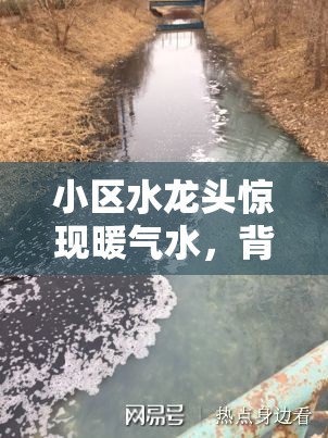 小區(qū)水龍頭驚現(xiàn)暖氣水，背后的溫暖與隱憂