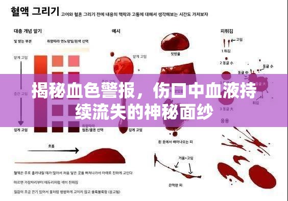 揭秘血色警報，傷口中血液持續(xù)流失的神秘面紗