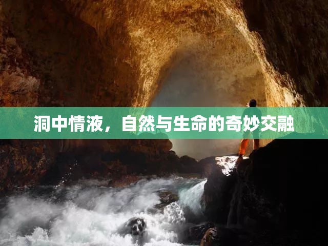 洞中情液，自然與生命的奇妙交融