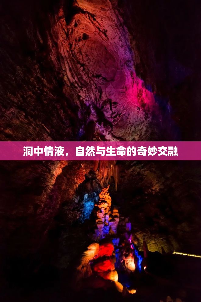 洞中情液，自然與生命的奇妙交融