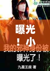 曝光！小說(shuō)打包大揭秘