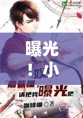 曝光！小說(shuō)打包大揭秘