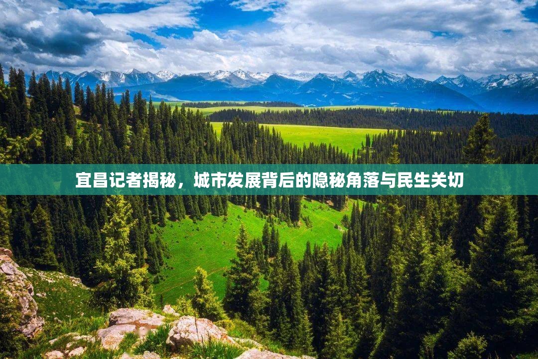 宜昌記者揭秘，城市發(fā)展背后的隱秘角落與民生關(guān)切
