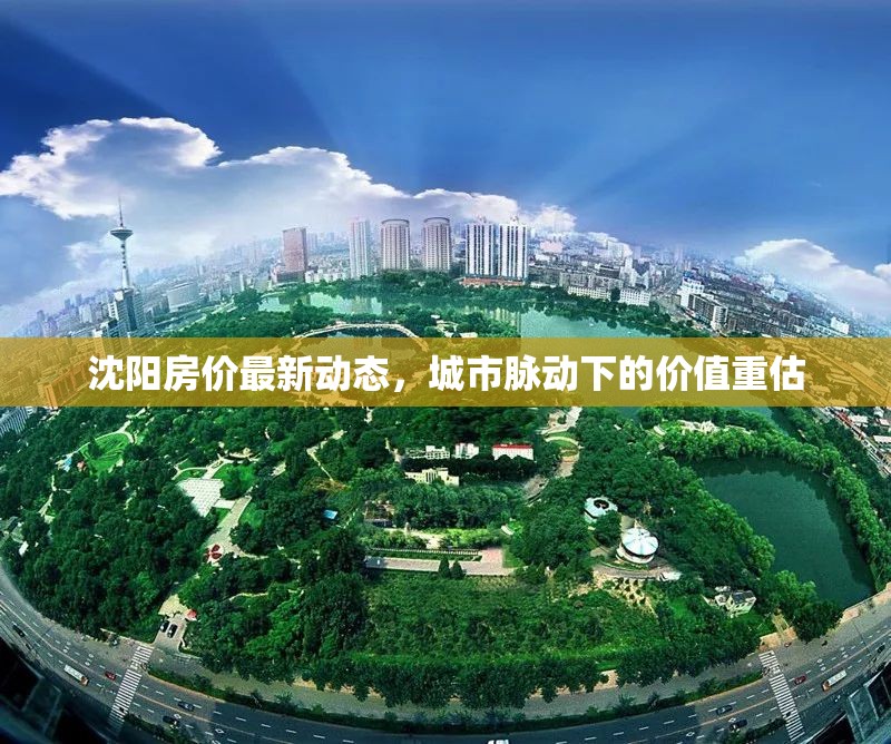 沈陽房價最新動態(tài)，城市脈動下的價值重估