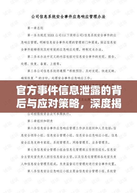 官方事件信息泄露的背后與應(yīng)對(duì)策略，深度揭秘
