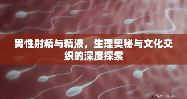 男性射精與精液，生理奧秘與文化交織的深度探索