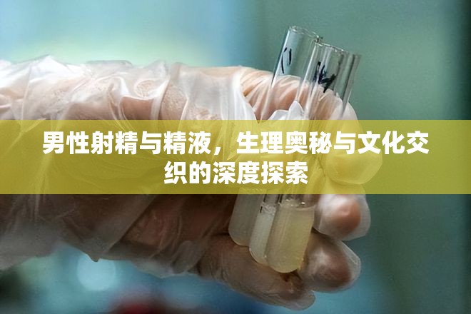 男性射精與精液，生理奧秘與文化交織的深度探索