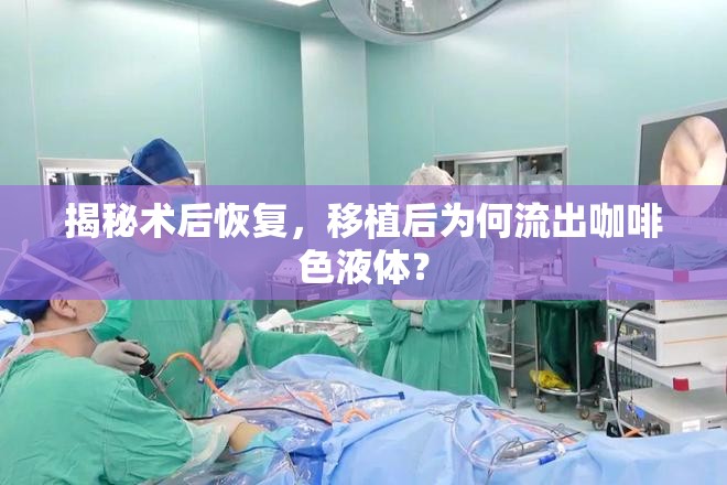 揭秘術(shù)后恢復(fù)，移植后為何流出咖啡色液體？