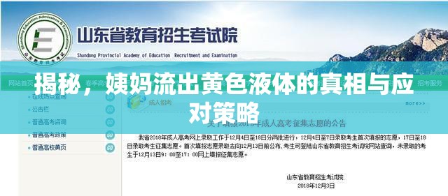 揭秘，姨媽流出黃色液體的真相與應(yīng)對策略