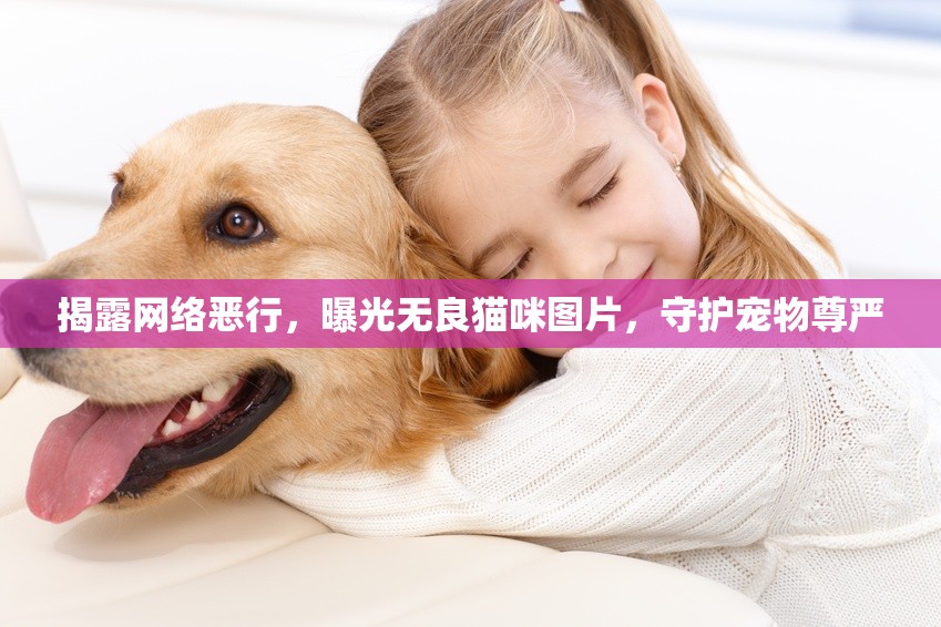 揭露網(wǎng)絡(luò)惡行，曝光無良貓咪圖片，守護(hù)寵物尊嚴(yán)