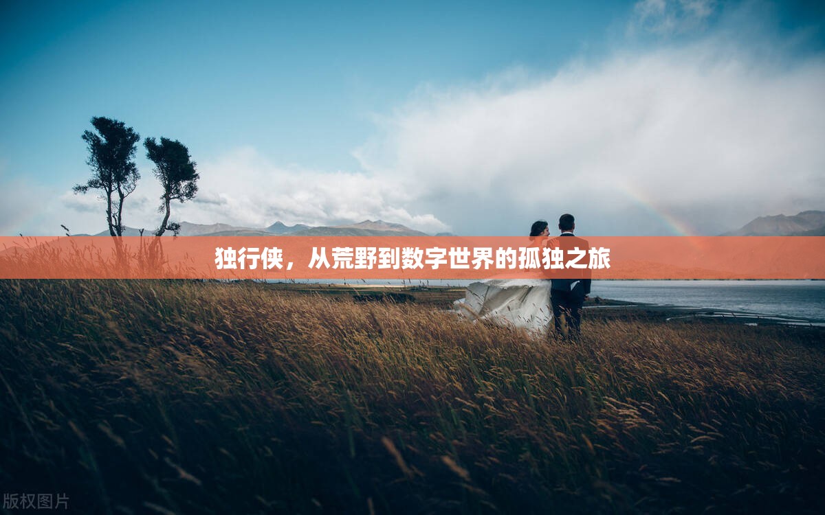 獨行俠，從荒野到數(shù)字世界的孤獨之旅