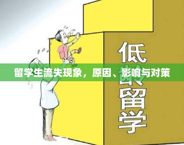留學(xué)生流失現(xiàn)象，原因、影響與對策