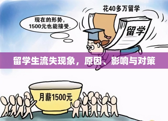 留學(xué)生流失現(xiàn)象，原因、影響與對策