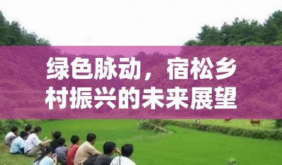 綠色脈動(dòng)，宿松鄉(xiāng)村振興的未來展望