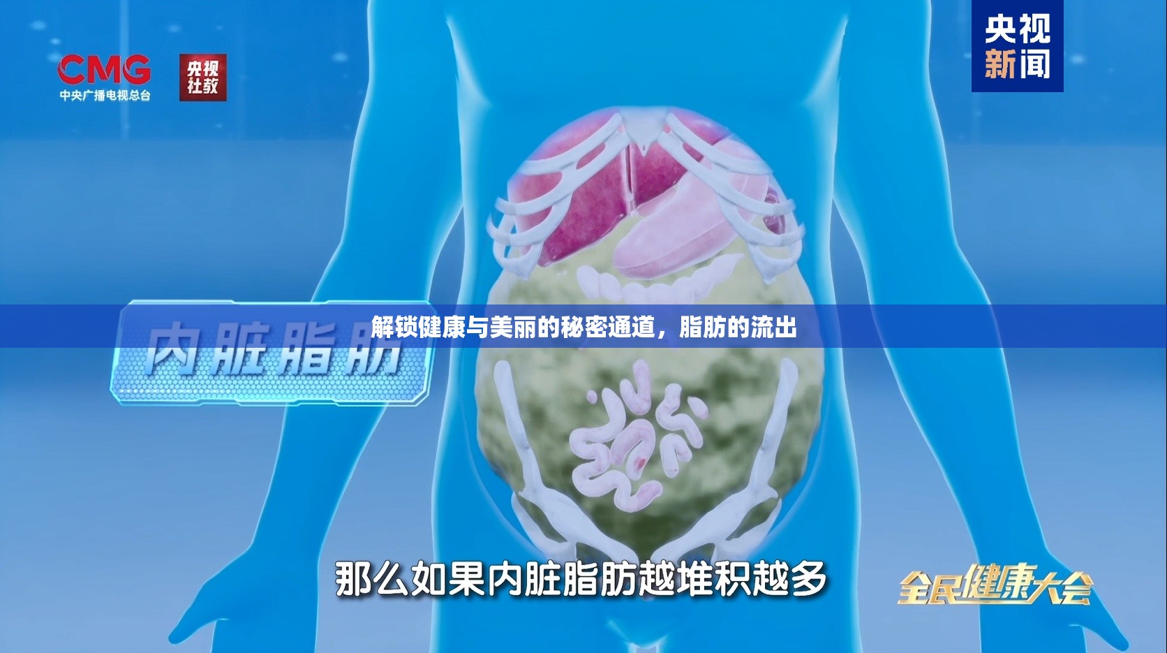 解鎖健康與美麗的秘密通道，脂肪的流出