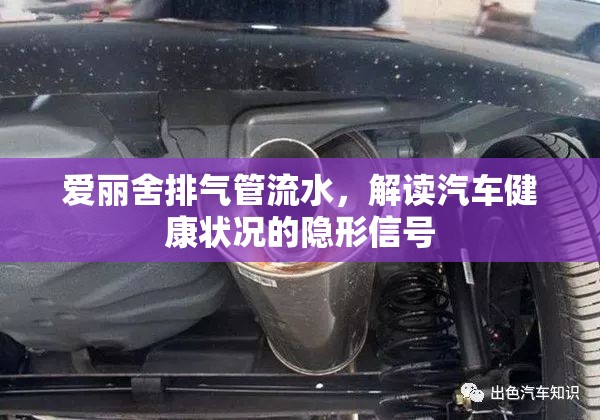 愛麗舍排氣管流水，解讀汽車健康狀況的隱形信號(hào)