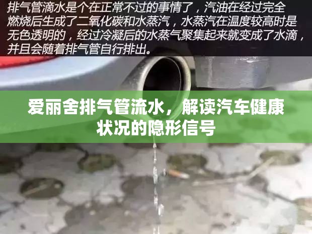 愛麗舍排氣管流水，解讀汽車健康狀況的隱形信號(hào)