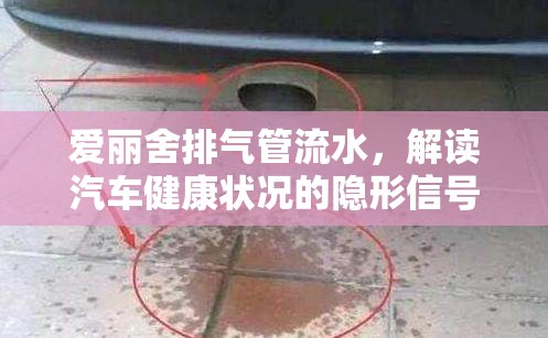 愛麗舍排氣管流水，解讀汽車健康狀況的隱形信號(hào)