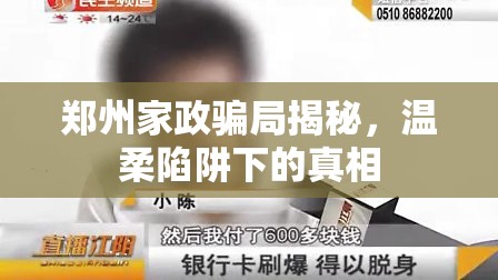 鄭州家政騙局揭秘，溫柔陷阱下的真相