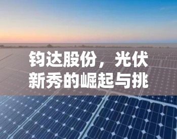 鈞達(dá)股份，光伏新秀的崛起與挑戰(zhàn)