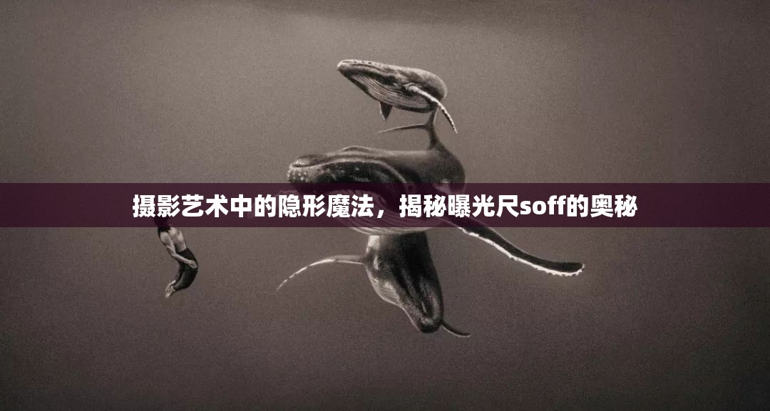 攝影藝術(shù)中的隱形魔法，揭秘曝光尺soff的奧秘
