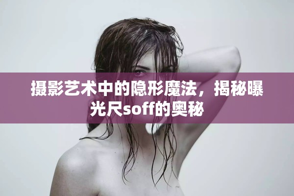 攝影藝術(shù)中的隱形魔法，揭秘曝光尺soff的奧秘