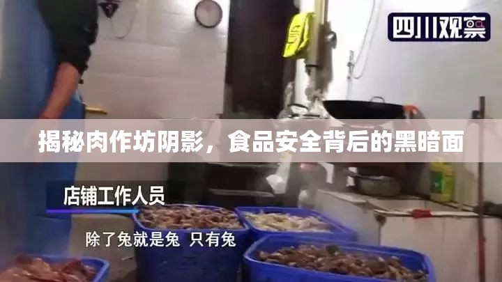 揭秘肉作坊陰影，食品安全背后的黑暗面