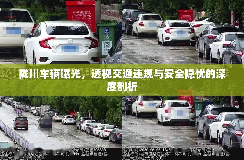 隴川車輛曝光，透視交通違規(guī)與安全隱憂的深度剖析