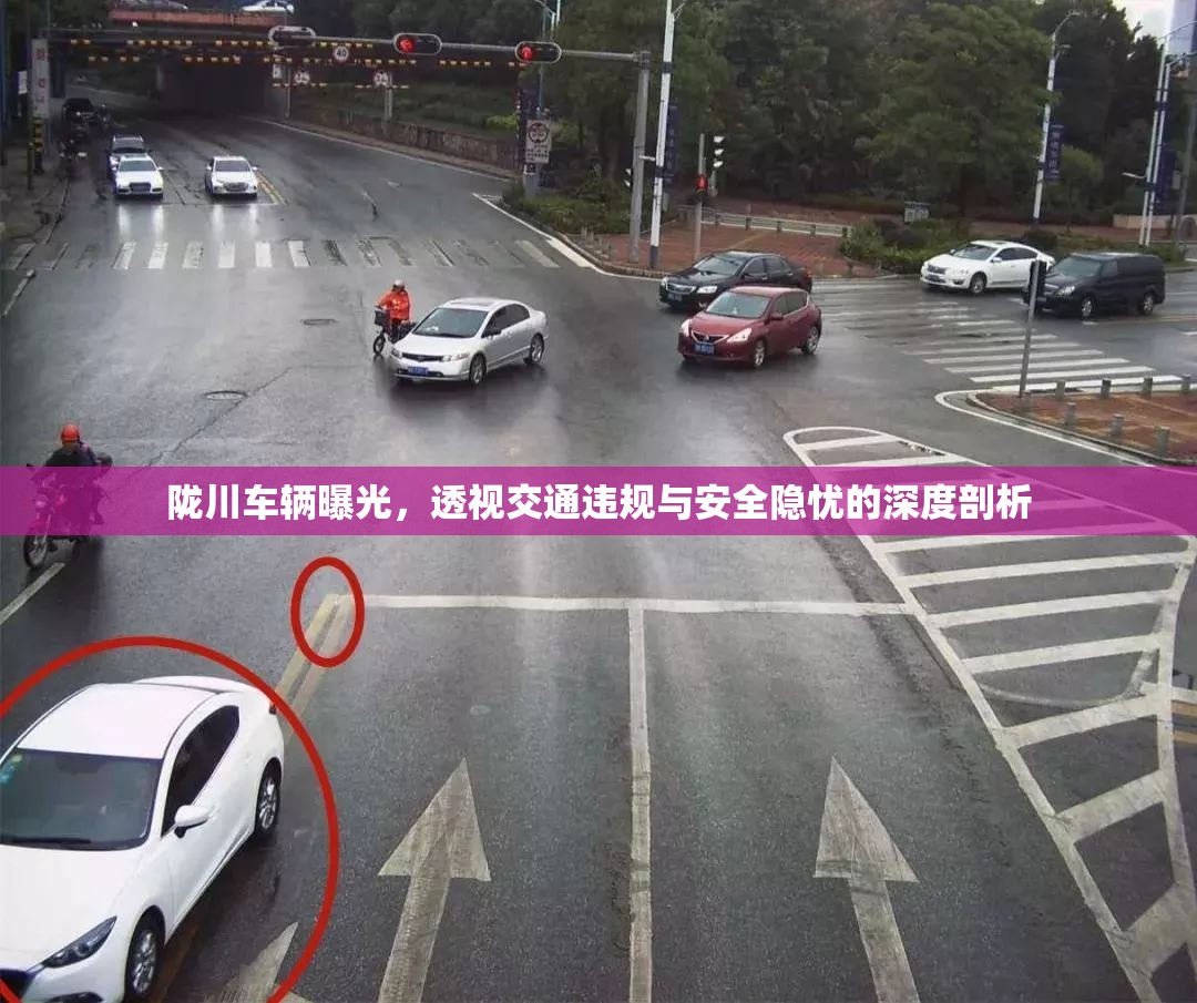 隴川車輛曝光，透視交通違規(guī)與安全隱憂的深度剖析