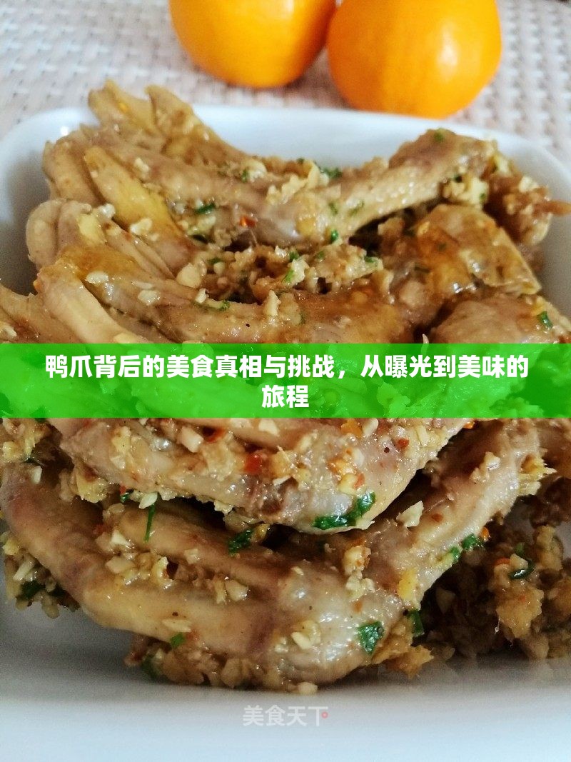 鴨爪背后的美食真相與挑戰(zhàn)，從曝光到美味的旅程
