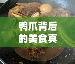 鴨爪背后的美食真相與挑戰(zhàn)，從曝光到美味的旅程