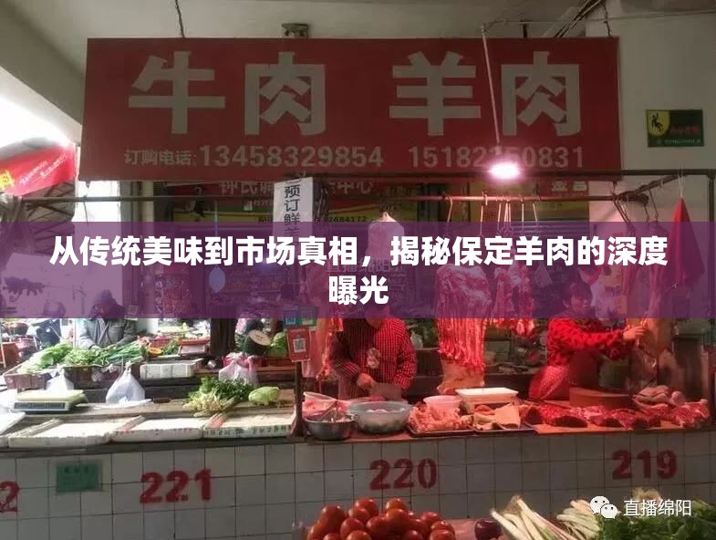 從傳統(tǒng)美味到市場真相，揭秘保定羊肉的深度曝光