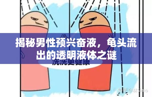 揭秘男性預興奮液，龜頭流出的透明液體之謎