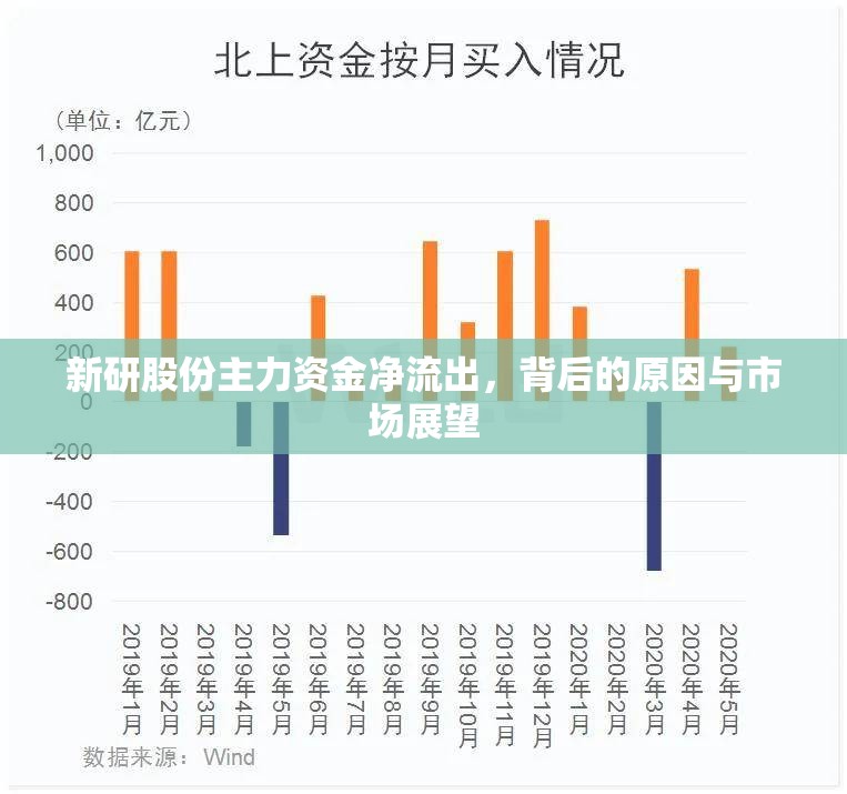 新研股份主力資金凈流出，背后的原因與市場展望