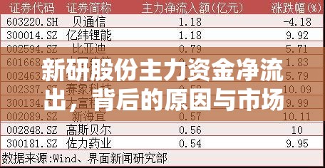 新研股份主力資金凈流出，背后的原因與市場展望