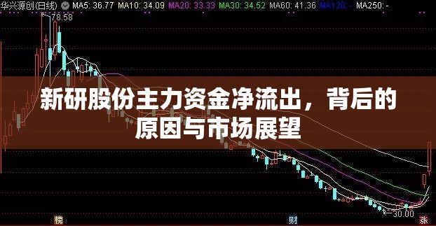 新研股份主力資金凈流出，背后的原因與市場展望