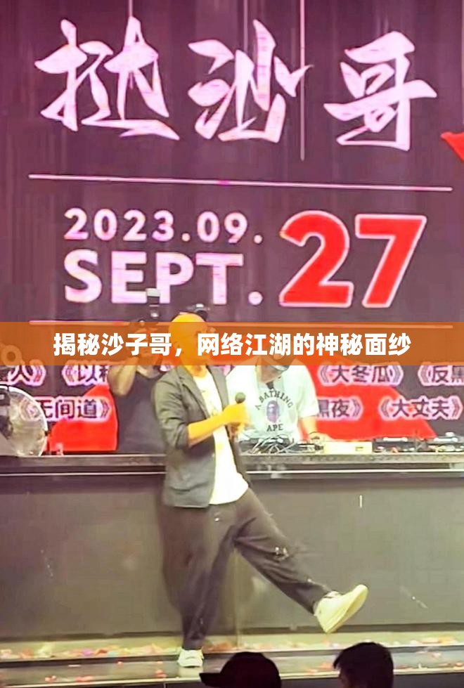 揭秘沙子哥，網(wǎng)絡(luò)江湖的神秘面紗