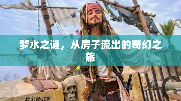 夢(mèng)水之謎，從房子流出的奇幻之旅