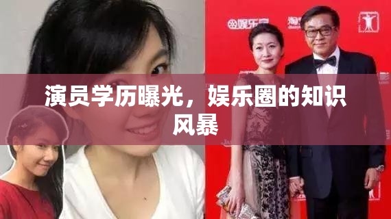 演員學(xué)歷曝光，娛樂圈的知識(shí)風(fēng)暴