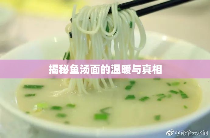 揭秘魚(yú)湯面的溫暖與真相