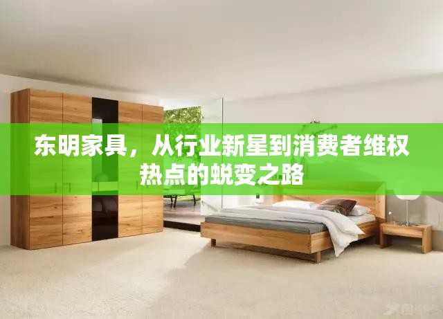 東明家具，從行業(yè)新星到消費(fèi)者維權(quán)熱點(diǎn)的蛻變之路